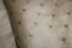 Ivory Shimmer Blossom Organza Saree
