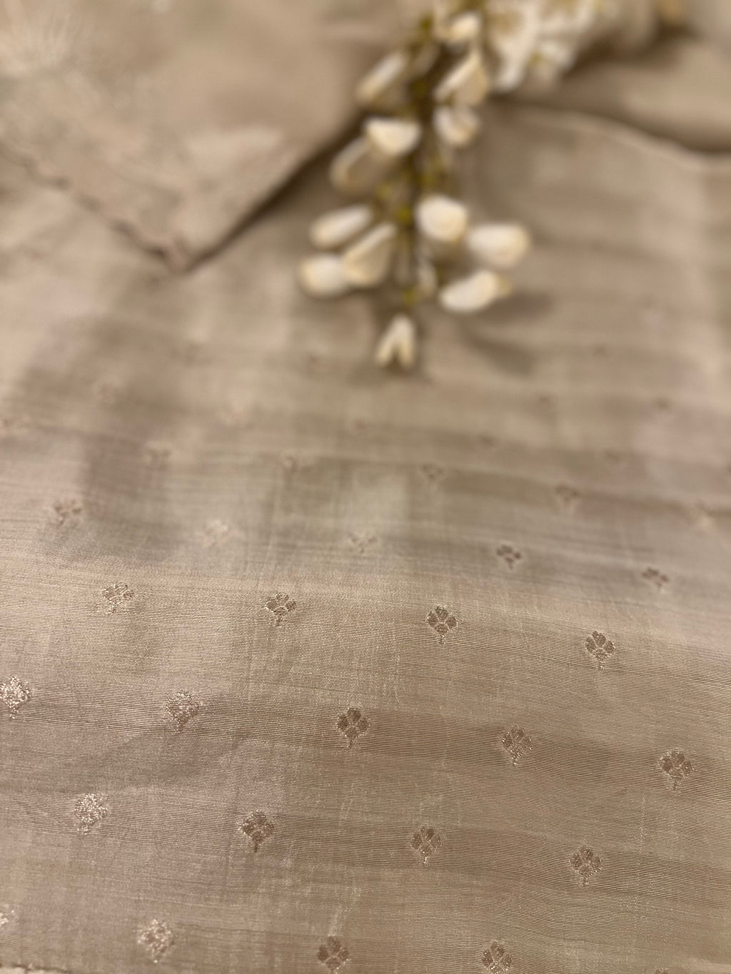 Chikoo Bloom Organza Silk